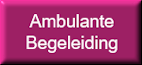 Ambulante Begeleiding